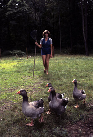 Martha Stewart photo