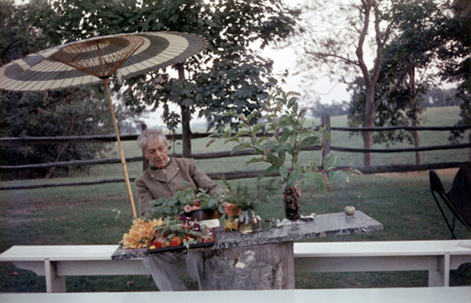 Paul Lester Weiner photo
