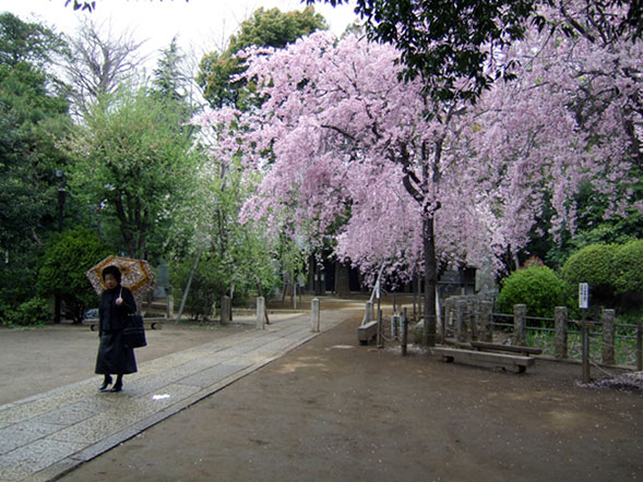  Tokyo. Japan 2006 photo