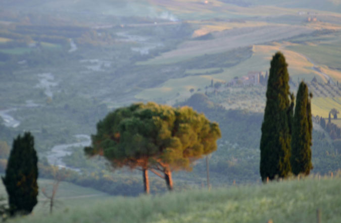 Tuscany 2011 photo